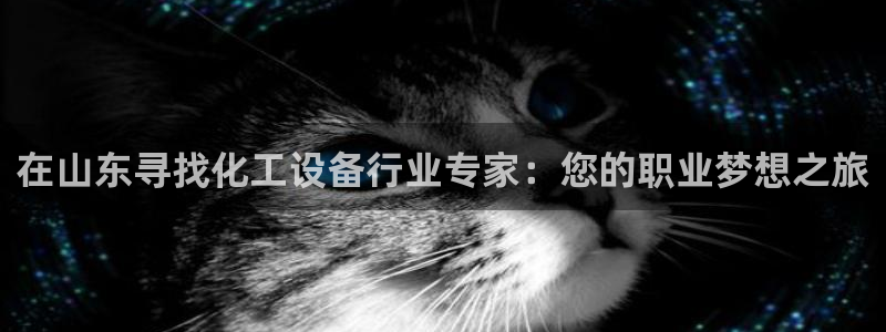 新宝gg创造奇迹登录入口