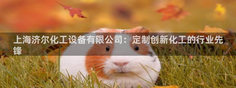 新宝gg官网登录找代理：上海济尔化工设备有限公司：