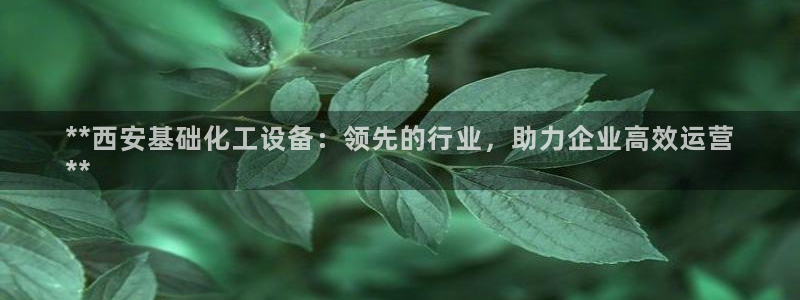 新宝gg最新更新内容与历史回顾