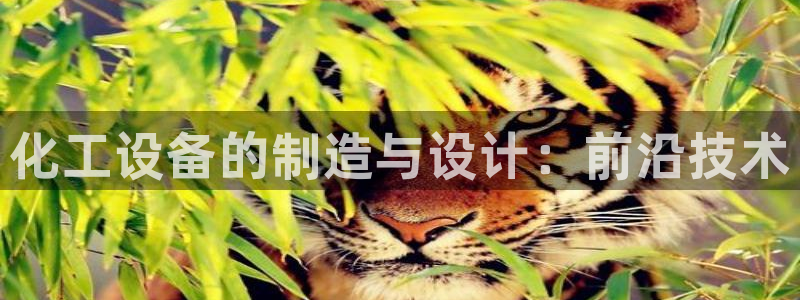 新宝gg创造奇迹登录首页