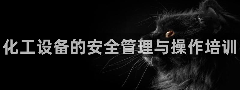 新宝gg游戏首页