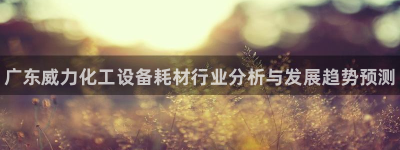 新宝gg创造奇迹手机登录