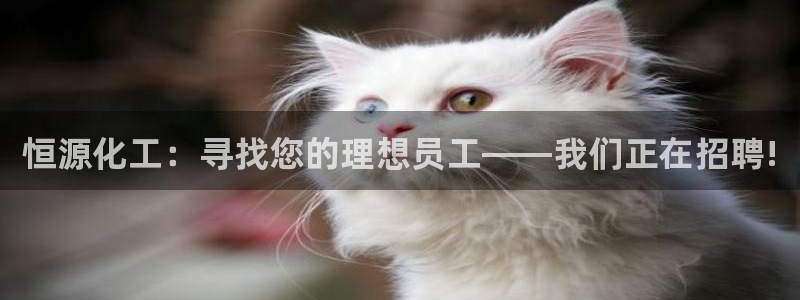 新宝gg创造奇迹平台怎么样