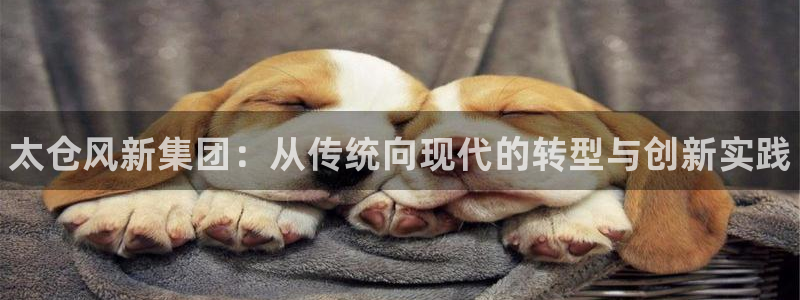 新宝gg最新更新内容与历史回顾