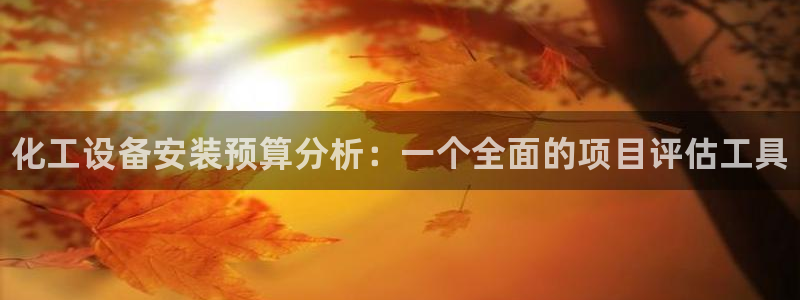 新宝gg登录不上去了了：化工设备安装预算分析：一个