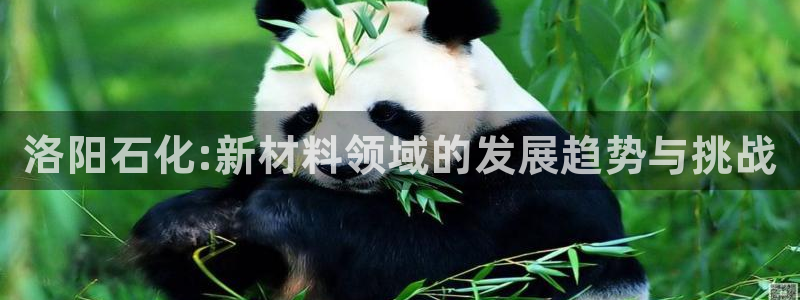 新宝GG平台德711怎么联系客服